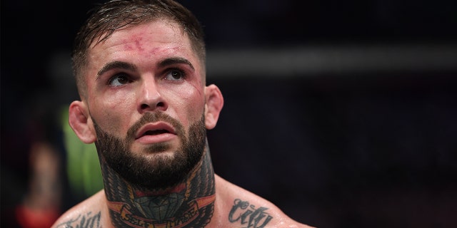 Instead of throwing punches, the former bantamweight champion is jabbing insults online. (Photo by Jeff Bottari/Zuffa LLC/Zuffa LLC)