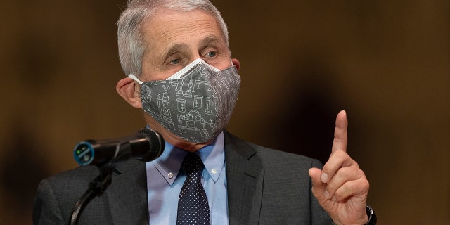 Dr. Anthony Fauci, director of the National Institute of Allergy and Infectious Diseases and chief medical adviser to the president, speaks to a group of interfaith clergy members. (AP Photo/Manuel Balce Ceneta)