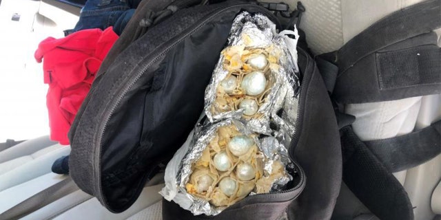 Packages of fentanyl pills smuggled inside burritos.