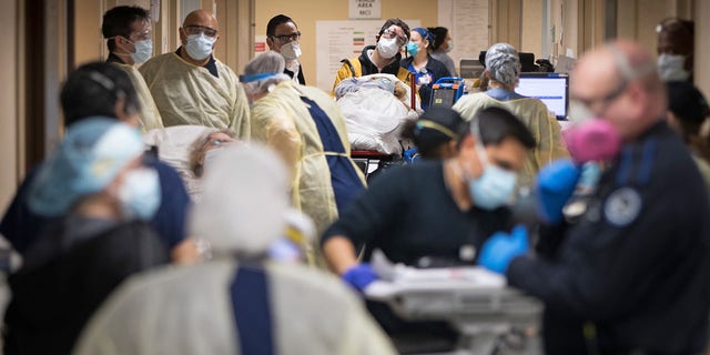A bustling hallway in the emergency department at Mount Sinai South Nassau hospital due to coronavirus patients in Oceanside, N.Y., in April 2020. (Jeffrey Basinger/Newsday via Getty Images)