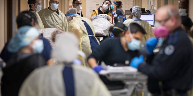 A bustling hallway in the emergency department at Mount Sinai South Nassau hospital due to coronavirus patients in Oceanside, N.Y., in April 2020. (Jeffrey Basinger/Newsday via Getty Images)