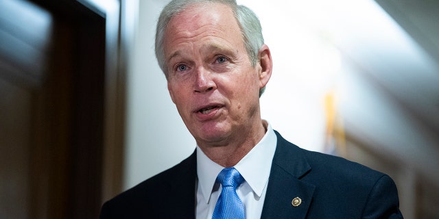 Chairman Ron Johnson, R-Wis., talks with a reporter before a Senate Homeland Security and Governmental Affairs Committee hearing on Dec. 16, 2020. (Tom Williams/CQ-Roll Call, Inc via Getty Images)