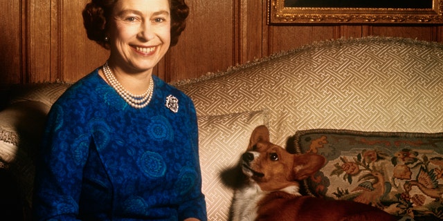 Queen Elizabeth II smiles with a pet corgi at Sandringham House in this 1970 photo.