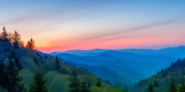 A sunrise at Great Smoky Mountains National Park, one of the largest protected areas for black bears in the eastern United States. 