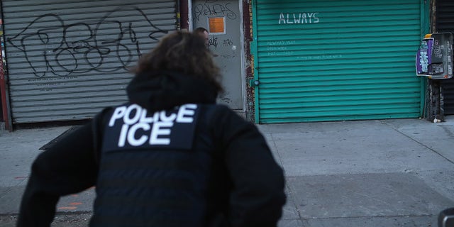 Immigration and Customs Enforcement (ICE), officers look to arrest an undocumented immigrant during an operation in the Bushwick neighborhood of Brooklyn on April 11, 2018, in New York City. (John Moore/Getty Images)