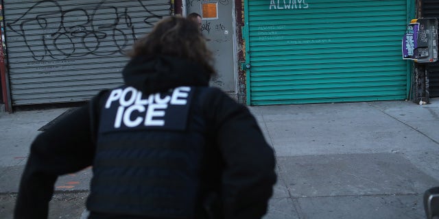 Immigration and Customs Enforcement (ICE), officers look to arrest an undocumented immigrant during an operation in the Bushwick neighborhood of Brooklyn on April 11, 2018, in New York City. (John Moore/Getty Images)