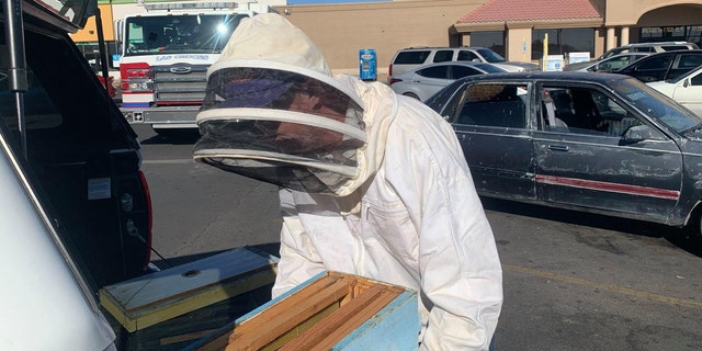 It took off-duty firefighter and beekeeper Jesse Johnson about two hours to remove the bees.