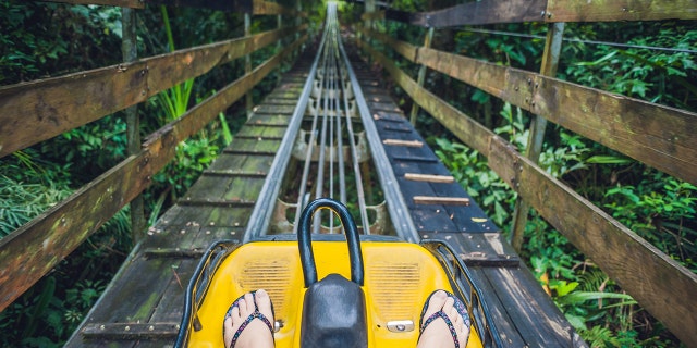 The injured guest, who has not been identified, is said to have "flew out of the cart" on the Gatlinburg Mountain Coaster (not shown) Monday.