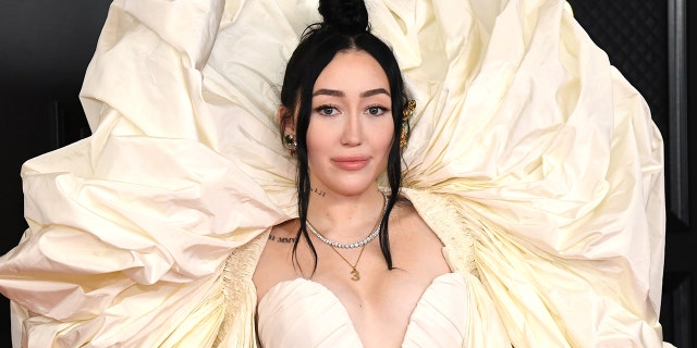Noah Cyrus wore a Schiaparelli dress to the 2021 Grammys. (Photo by Kevin Mazur/Getty Images for The Recording Academy )