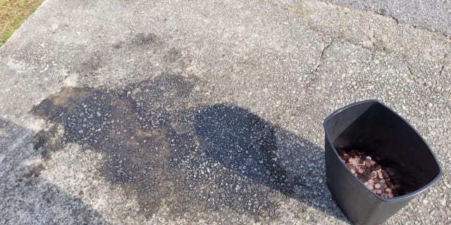 The spot where the pennies were dumped (Credit: Olivia Oxley)