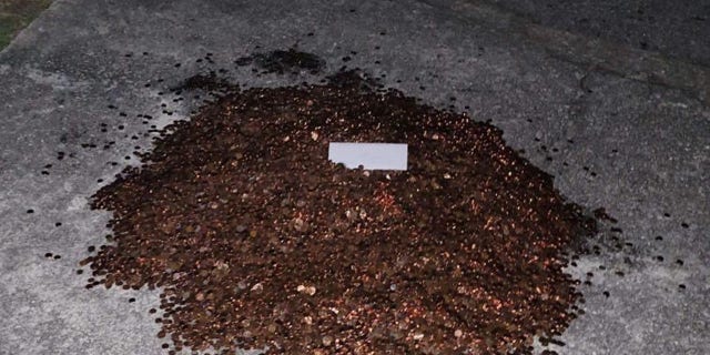 The pile of pennies in Andreas Flaten's driveway (Credit: Olivia Oxley)