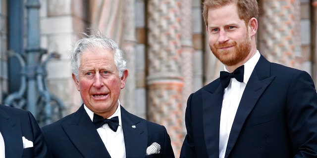 Nicholl said it was 'painful' for Prince Charles (left) to hear what Prince Harry (right) said during his interview.  (Photo by John Phillips / Getty Images)