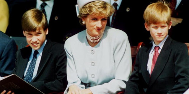 Princess Diana, Princess of Wales with her sons Prince William and Prince Harry attend the Heads of State VE Remembrance Service in Hyde Park on May 7, 1995 in London, England.   (Photo by Anwar Hussein/Getty Images)