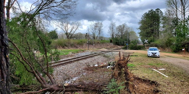 Un arbre a été abattu le long des voies ferrées dans le nord-est du comté de Lincoln, au Mississippi, à la suite d'un épisode de temps violent en milieu de matinée, le mercredi 17 mars 2021. Les prévisionnistes pensent que des conditions météorologiques plus violentes sont attendues mercredi avec un potentiel de tornades massives et d'averses. et grêlez la taille des balles de tennis.  (Brett Campbell / The Daily Leader)