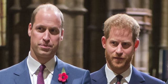 Prince William is reportedly confused as to why his brother, Prince Harry, keeps ‘throwing his family under the bus.'