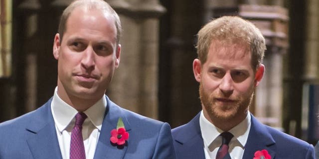 Prince William is reportedly confused as to why his brother, Prince Harry, keeps ‘throwing his family under the bus.'