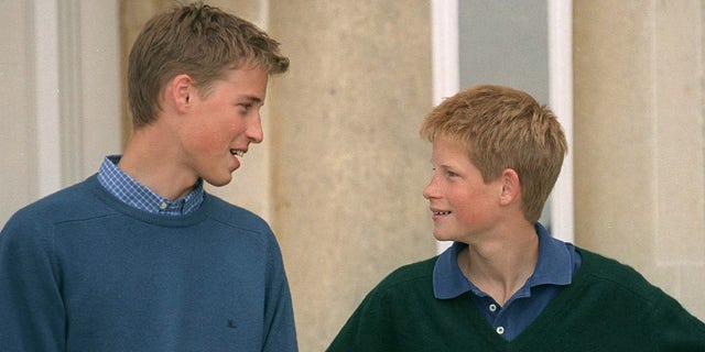 Prince William and Prince Harry during happier times.