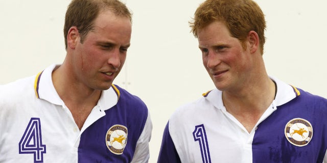 harry william in jerseys