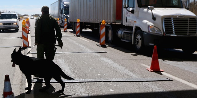 A U.S. Border Patrol agent and drug sniffing German Shepherd Jack-D prepare to search vehicles for drugs at a checkpoint near the U.S. Mexico border.