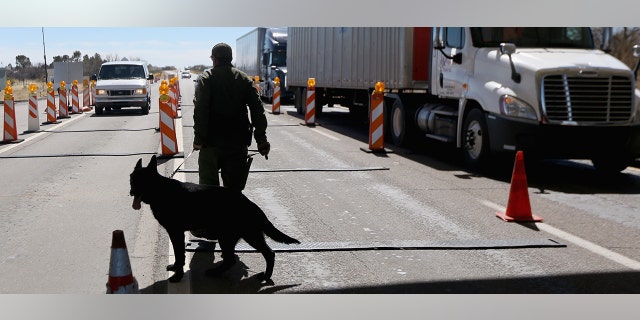 A U.S. Border Patrol agent and drug sniffing German Shepherd Jack-D prepare to search vehicles for drugs at a checkpoint near the U.S. Mexico border.