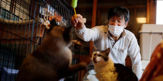 Sakae Kato reportedly takes care of cats diagnosed with feline leukemia at his Fukushima home, which is located in Namie, a restricted zone. (Reuters)