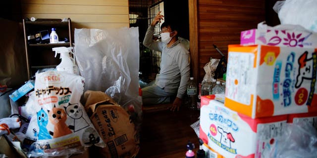 Kato estimates it costs him ,000 per month to care for 41 cats, 1 dog and wild boar in Fukushima. (Reuters)