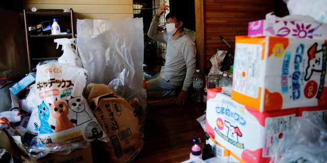 Kato estimates it costs him ,000 per month to care for 41 cats, 1 dog and wild boar in Fukushima. (Reuters)