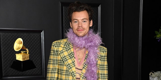 Harry Styles won his first Grammy for best pop solo performance.