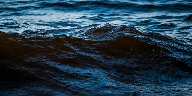 Browne was completely alone for a total of 98 days at sea; he documented the trip on his Instagram and Twitter accounts.