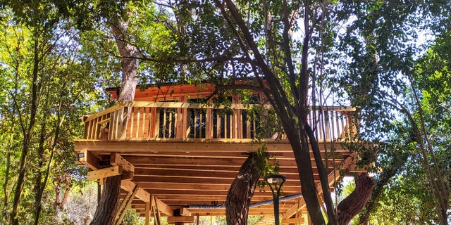 Jeffrey Morse is selling the treehouse for $17,500 after being told to remove it by the town of Richmond.