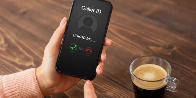 In 2020, fraudsters targeting the U.S. presidential election launched scams and misinformation campaigns, Transaction Network Services said in its most recent Robocall Investigation Report.