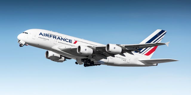The passenger was flying on an Air France flight from Paris to New Delhi on Friday.