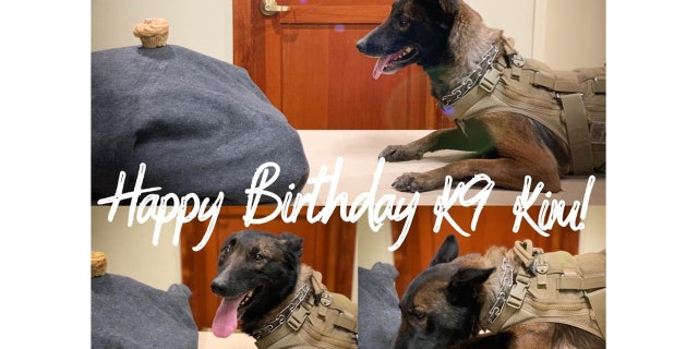 The Bend Police Department wished their K9, Kim, a happy 6th birthday in January.