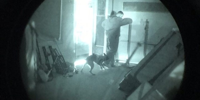 The Bend Police Department's K9, Kim, can be seen here through a nigh vision monocular working a training scenario in complete darkness.