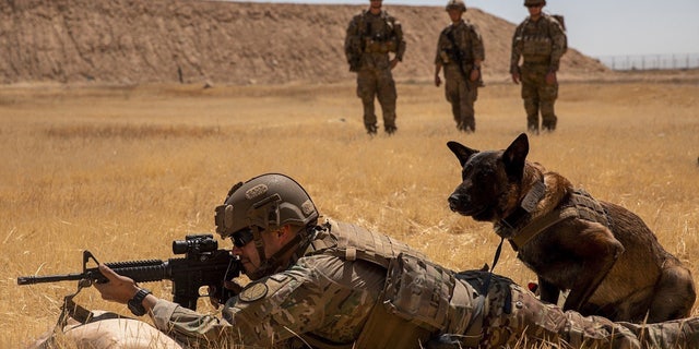 U.S. Army Sgt.  Michael Ramirez fires his M4 carbine with his military working dog beside him during a live-fire exercise at Al Asad Air Base, Iraq, May 8, 2020. (US Army/Cover Images ) 