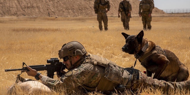 U.S. Army Sgt. Michael Ramirez fires his M4 carbine with his military working dog beside him during a live-fire exercise at Al Asad Air Base, Iraq, May 8, 2020. (US Army/Cover Images )