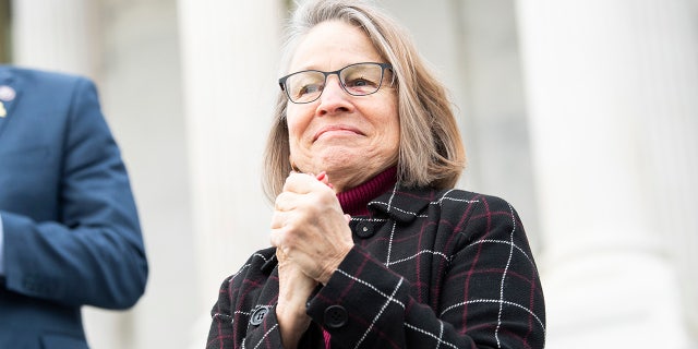 Rep. Mariannette Miller-Meeks, R-Iowa, helped create the America's Children Act.