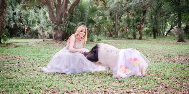 Customers send Burke their pet pigs' measurements, which she uses to sew custom outfits.