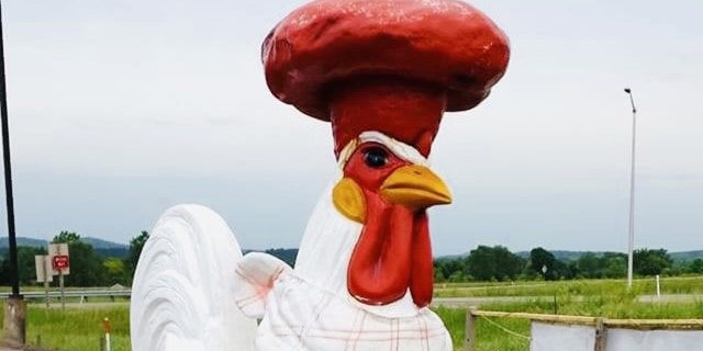 This 12-foot rooster statue was stolen from the Osseo Family Restaurant in Wisconsin last week. The owner will give a $1,000 reward and a free meal to the person who returns it.