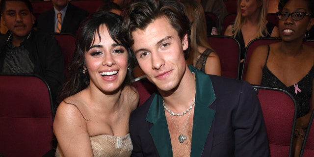 Camila Cabello and Shawn Mendes 