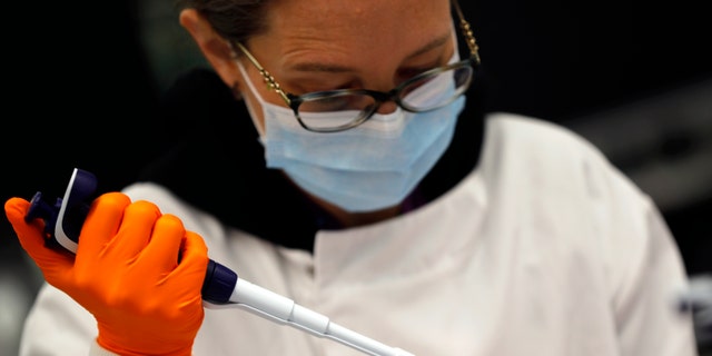 A lab assistant uses a pipette to prepare Coronavirus RNA for sequencing at the Wellcome Sanger Institute that is operated by Genome Research in Cambridge, Thursday, March 4, 2021. Cambridge University microbiologist Sharon Peacock understood that genomic sequencing would be crucial in tracking the coronavirus, controlling outbreaks and developing vaccines, so she began working with colleagues around the country to put together a plan when there were just 84 confirmed cases in the country. The initiative helped make Britain a world leader in rapidly analyzing the genetic material from large numbers of COVID-19 infections, generating more than 40% of the genomic sequences identified to date.