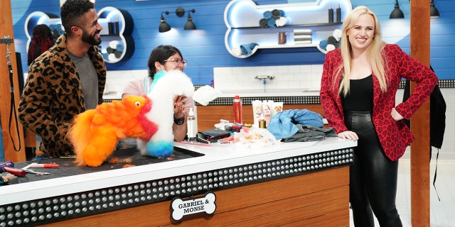 Rebel Wilson hosts ABC new grooming competition "Pooch Perfect."