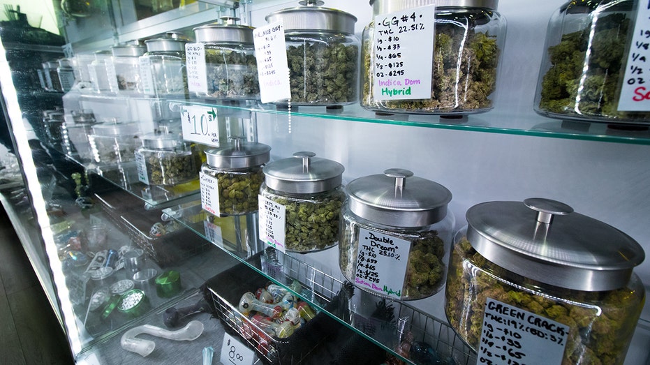 ALEX BERENSON: I warned about cannabis dangers 7 years ago and nobody wanted to listen