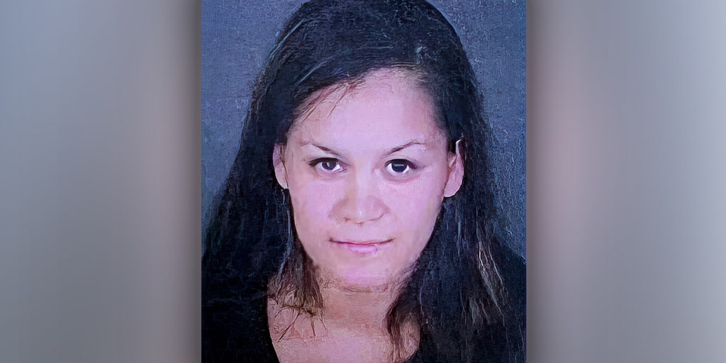 California mother suspected of killing 3 kids 'unwell' for months, family member says; father 'devastated' - Vimarsana News