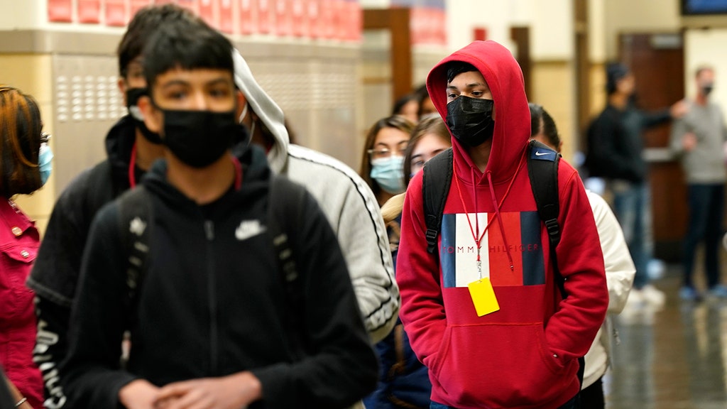 Beware of masks containing certain material: health officials