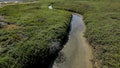 Sewage-fouled runoff from the Tijuana River has prompted authorities call for a solution to fix the issue. - Fox News
