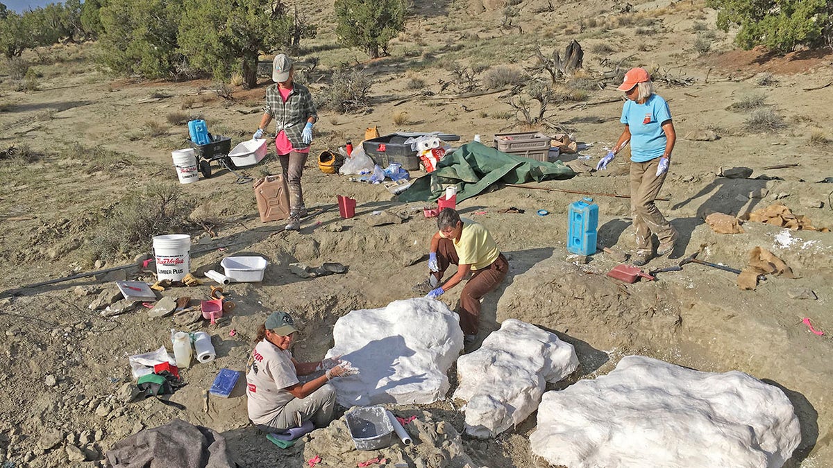 In this photo provided by the Bureau of Land Management, researchers prepare fossils to be airlifted from the Rainbows and Unicorns Quarry on Grand Staircase-Escalante National Monument to the Paria River District paleontology lab in Kanab, Utah, on Sept. 4, 2018. Ferocious tyrannosaur dinosaurs may not have been solitary predators as long envisioned, but more like social carnivores such as wolves, new research unveiled Monday, April 19, 2021, found. (Dr. Alan Titus/Bureau of Land Management via AP)