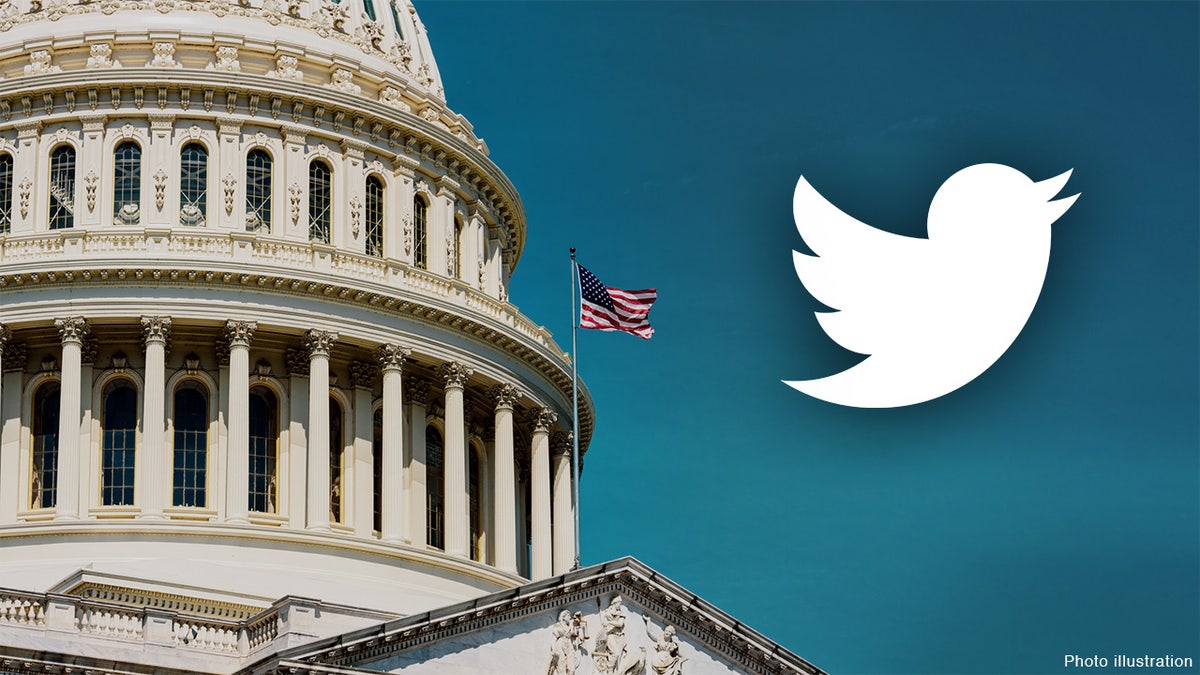 The Twitter logo floats next to the Capitol dome