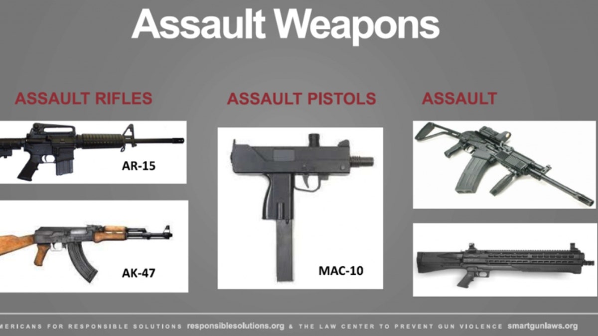 "Firearms 101" slide (Credit: American Accountability Foundation)