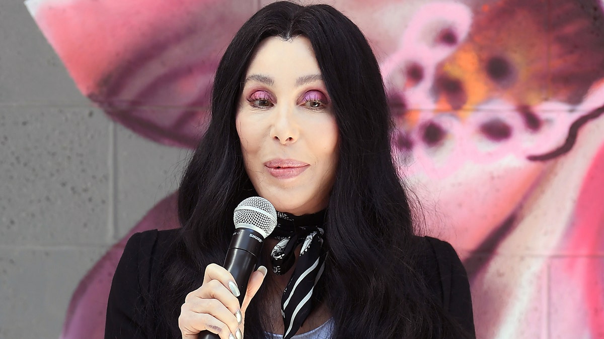 Cher in Las Vegas